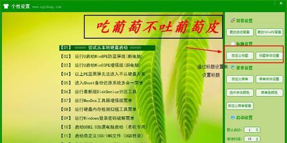 通过U盘启动安装系统驱动的完全指南（简单有效的安装系统驱动方法）