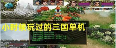 三国单机游戏推荐（体验史诗般的战役）
