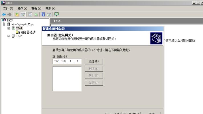 服务器DNS设置详解（了解服务器DNS的设置方法和注意事项）