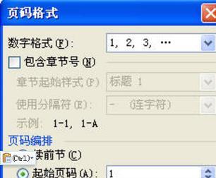 如何实现页码连续编号的方法（实用技巧帮助您轻松管理文档页码）