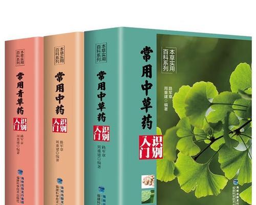 电脑初学者入门指南（从零开始）