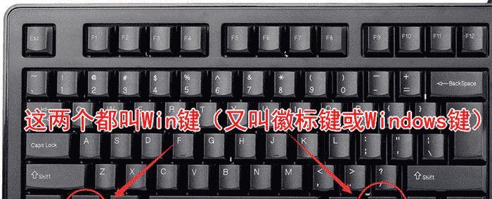 电脑键盘知识大全图解——打造高效输入利器（了解键盘构造、使用技巧及故障排除）