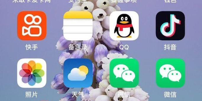 如何设置苹果应用图标大小（详细教程带你轻松设置应用图标）