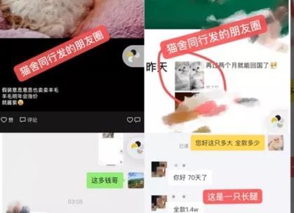 00后如何白手起家赚钱？有哪些赚钱方法适合年轻人？