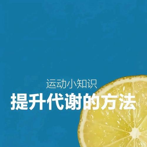 如何促进新陈代谢的速度？有效提高身体代谢的策略有哪些？
