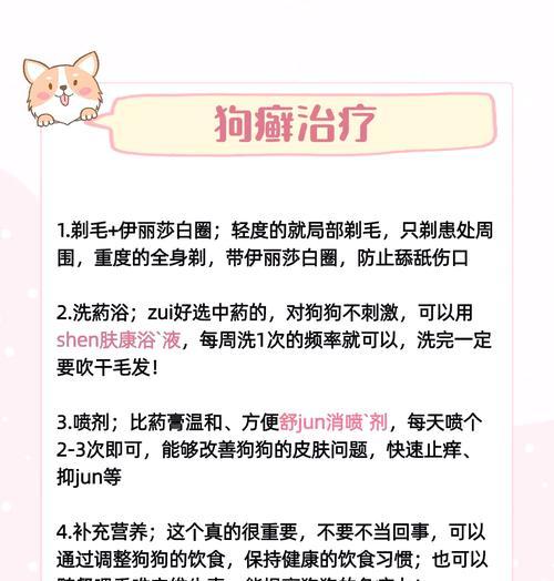 冬天狗狗掉毛严重怎么办？有效减少狗狗掉毛的方法是什么？