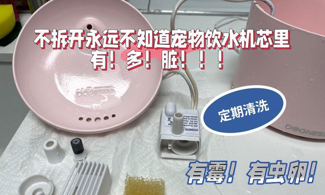 台式饮水机清洗方法是什么？如何彻底清洁维护？