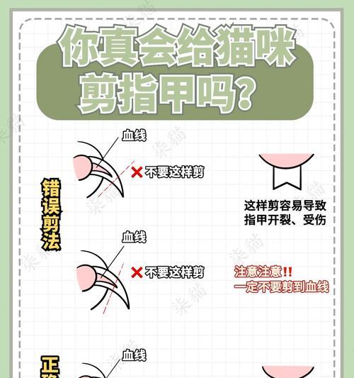 给猫咪剪指甲时如何避免被咬？安全剪指甲的步骤是什么？