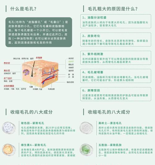 面部毛孔粗大怎么办？收缩毛孔的有效方法有哪些？