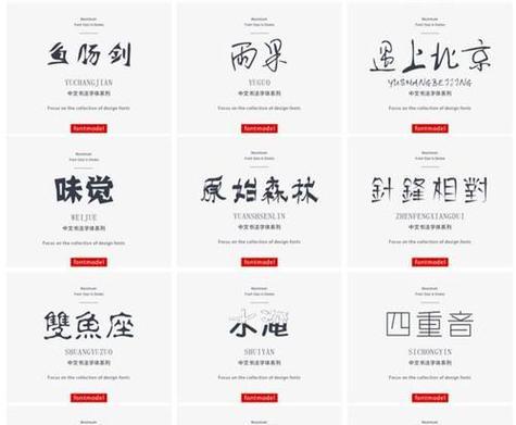 字体包怎么安装到电脑上去？安装过程中遇到问题怎么办？