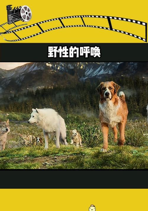 英雄联盟狗熊狼玩法及技巧介绍？