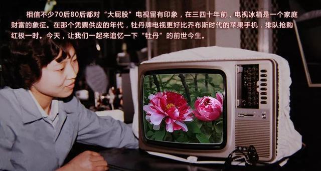 剑魂终极掌控护腿使用方法是什么？